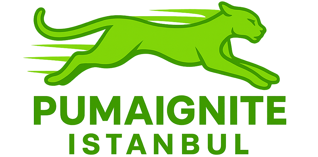 pumaigniteistanbul.com